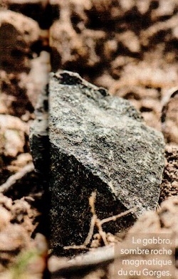 Le-Gabbro-2