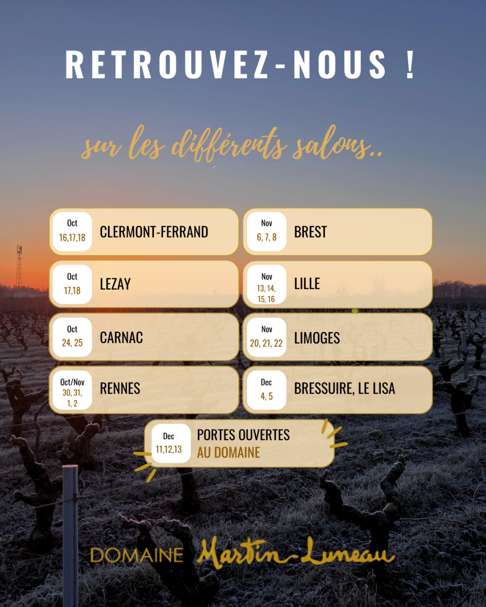 evenements-calendrier-vert-fonce-nature-publication-instagram-3